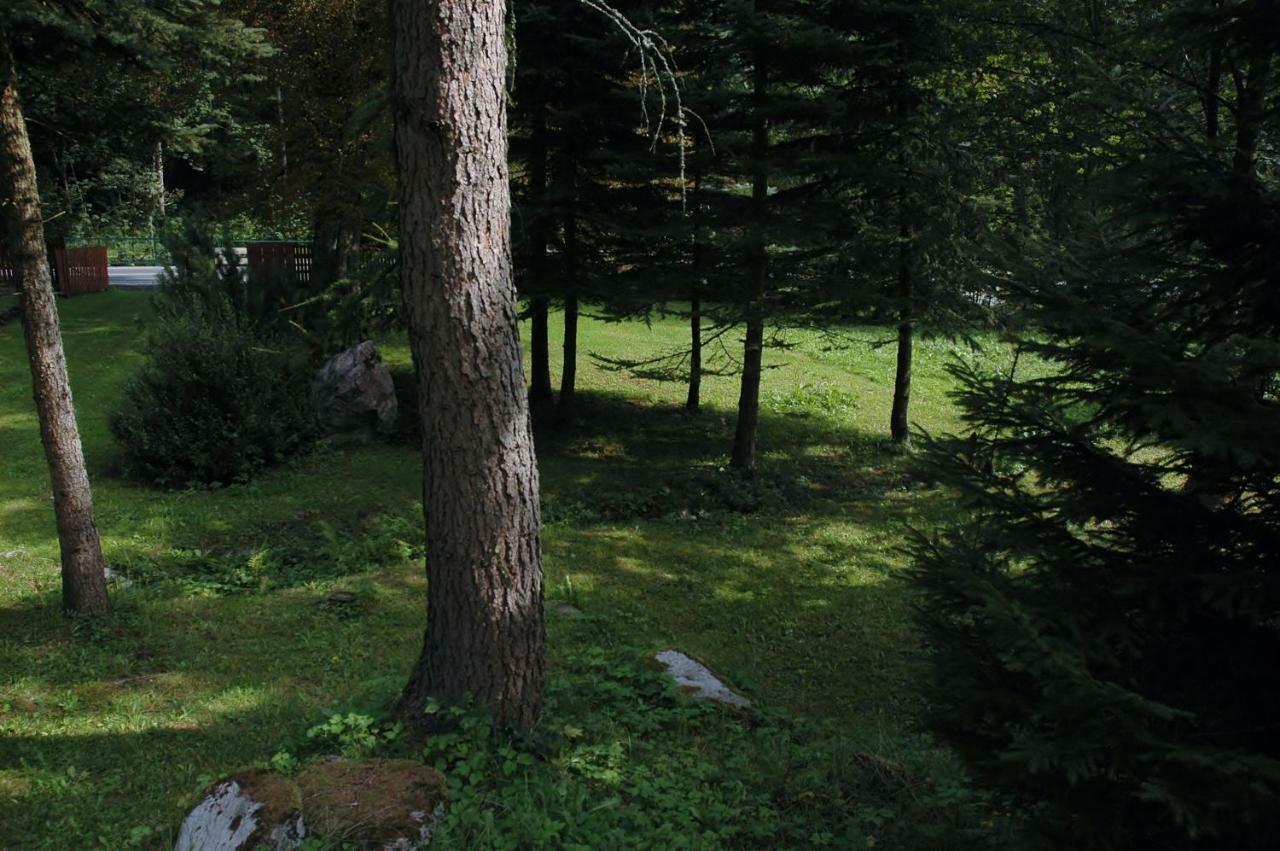 Orli Hnizdo Villa Černý Dŭl Kültér fotó