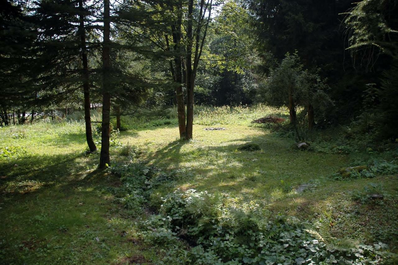 Orli Hnizdo Villa Černý Dŭl Kültér fotó